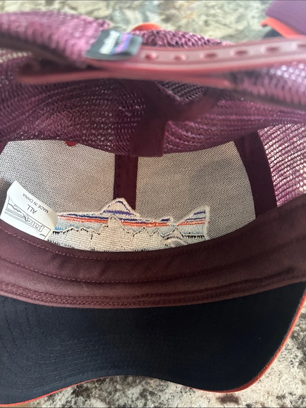 Patagonia Trucker Hat